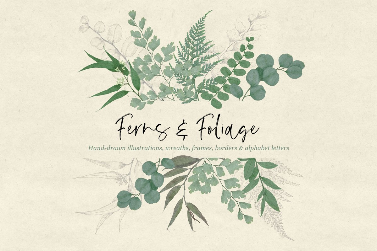Ferns & Foliage example image 1