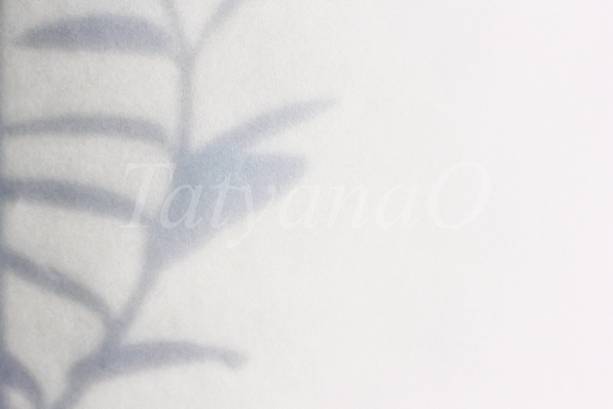 shadow from a flower branch on a white-gray background example image 1