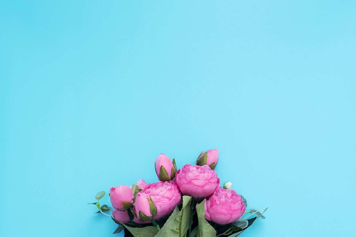 Pink flowers on blue background. example image 1