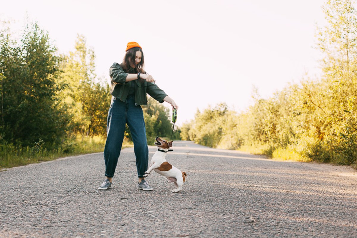 A girl in a green jacket and an orange hat walks with a dog example image 1