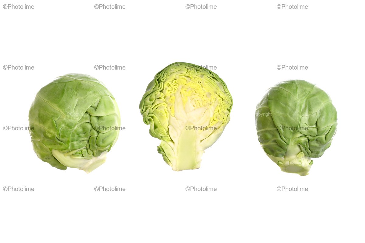 Brussel sprouts isolated. Brassica oleracea. example image 1