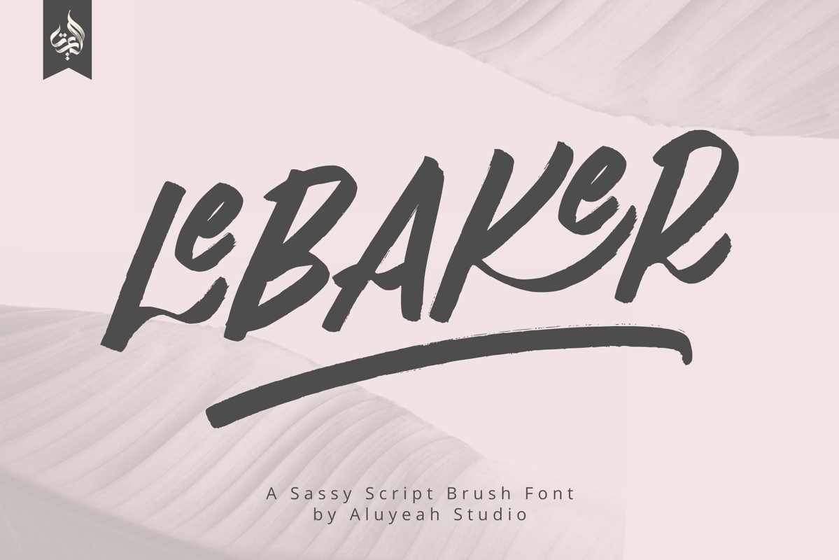 AL Lebaker - Homemade Script Font example image 1