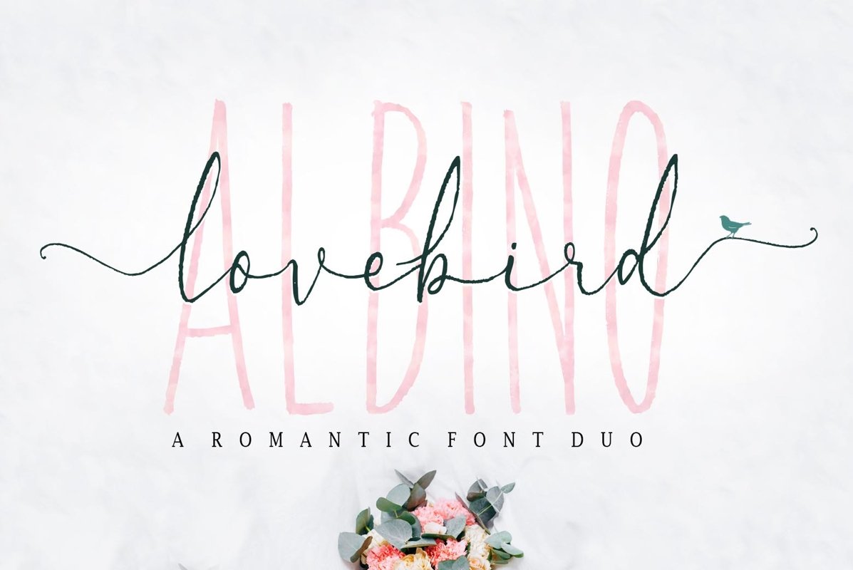 Albino Lovebird - Font Duo example image 1