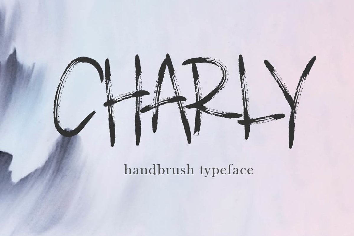 CHARLY example image 1