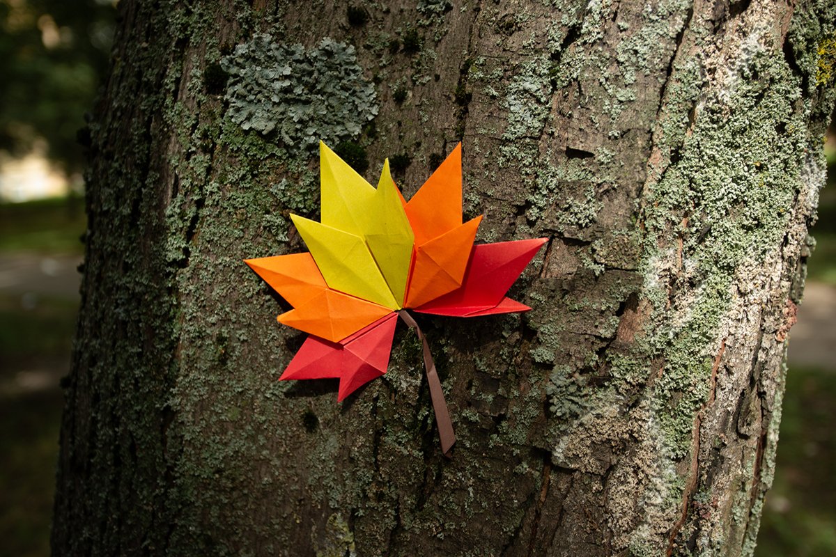 Autumn concept background traditional paper craft handmade example image 1
