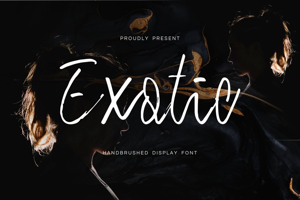 Exotic - Handbrushed Display Font example image 1