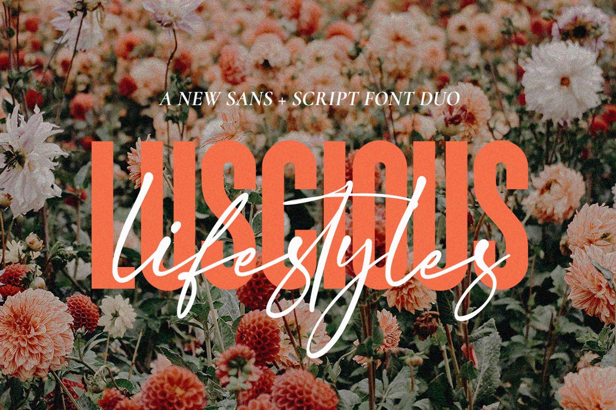 Luscious Lifestyles Font Duo example image 1