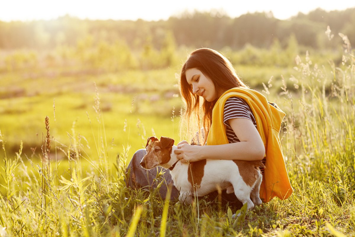 Young girl sitting on the grass and hugs a dog Jack Russell example image 1