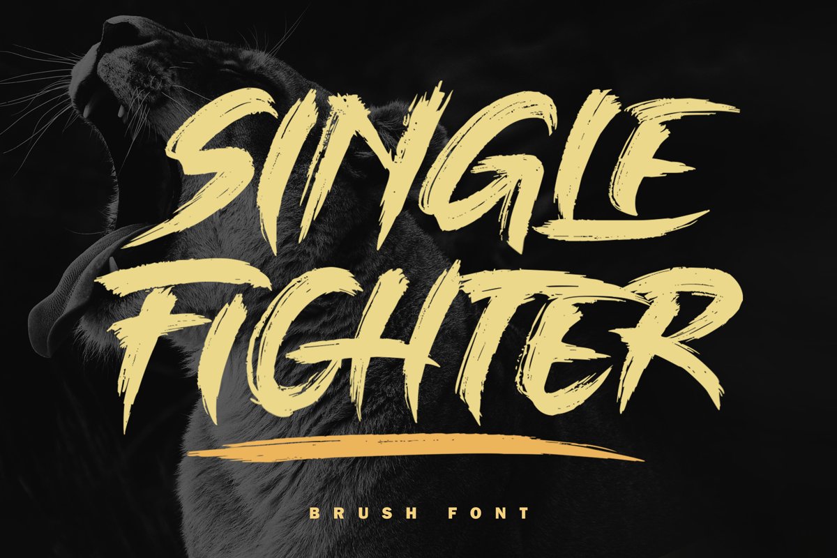 Single Fighter example image 1