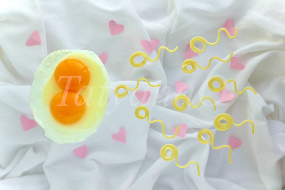 Trendy concept of fertilization, twins, Valentine's day example image 1