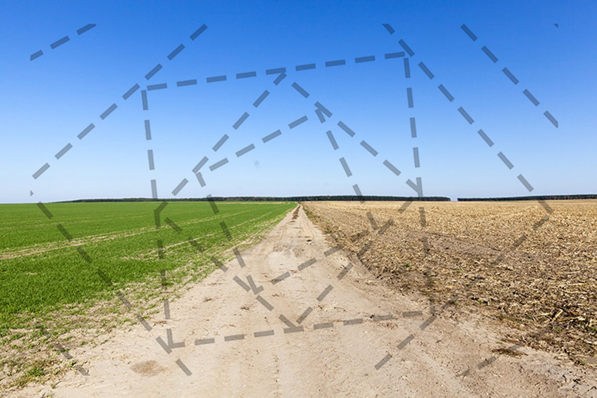 road in the middle of the field example image 1