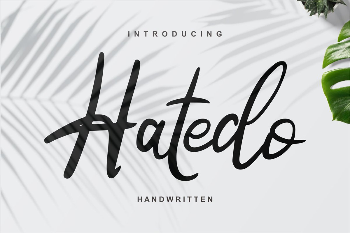 Hatedo | Handwritten Script Font example image 1