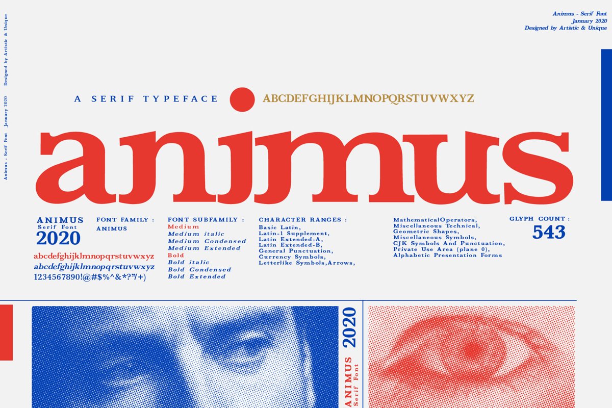 ANIMUS - Serif font family example image 1