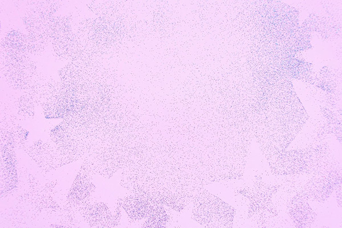 Silver sparkling christmas decoration on pink background. example image 1