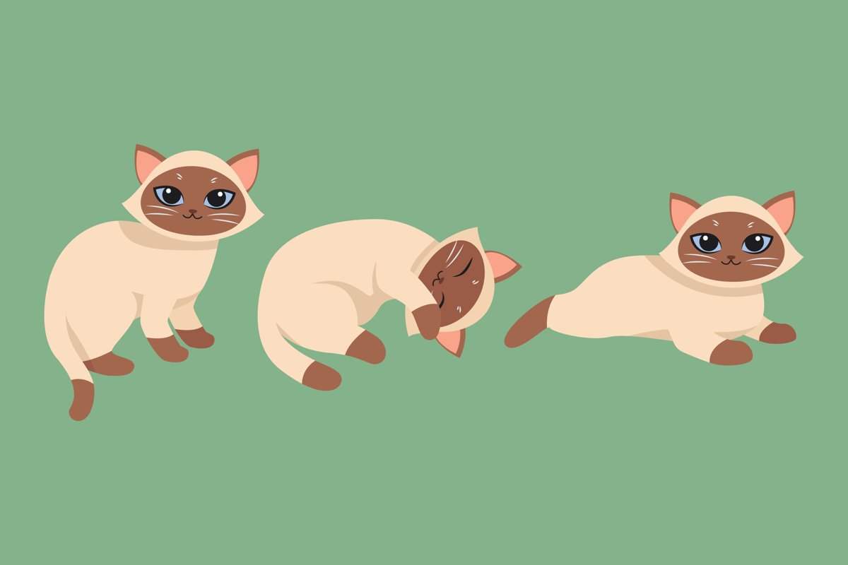 Kitten Illustrations example image 1