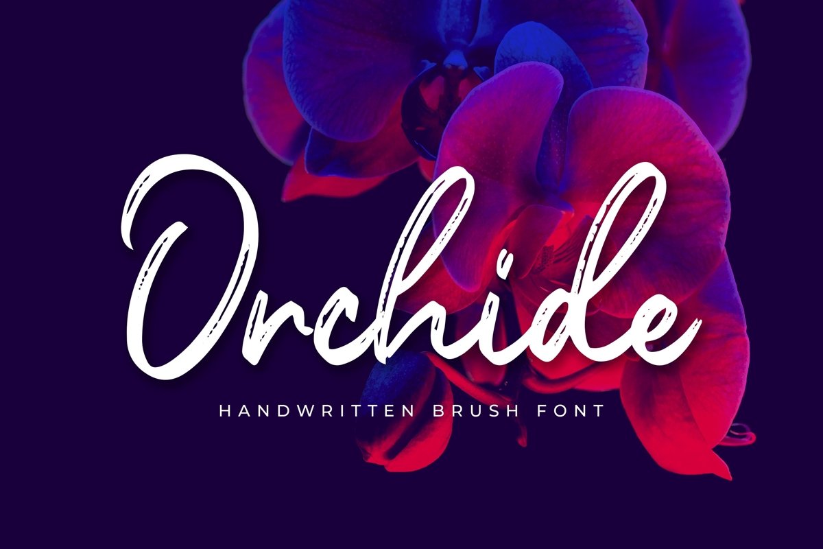 Orchide example image 1