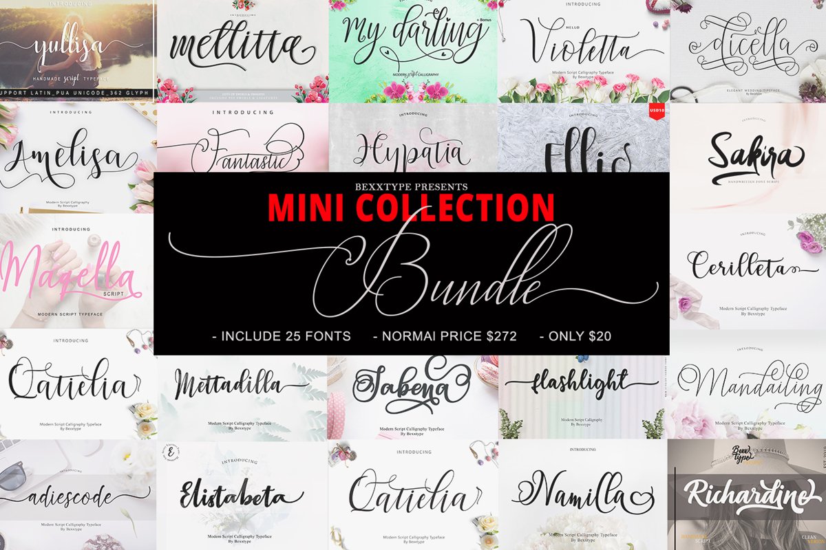 The MINI COLLECTION Bundle example image 1