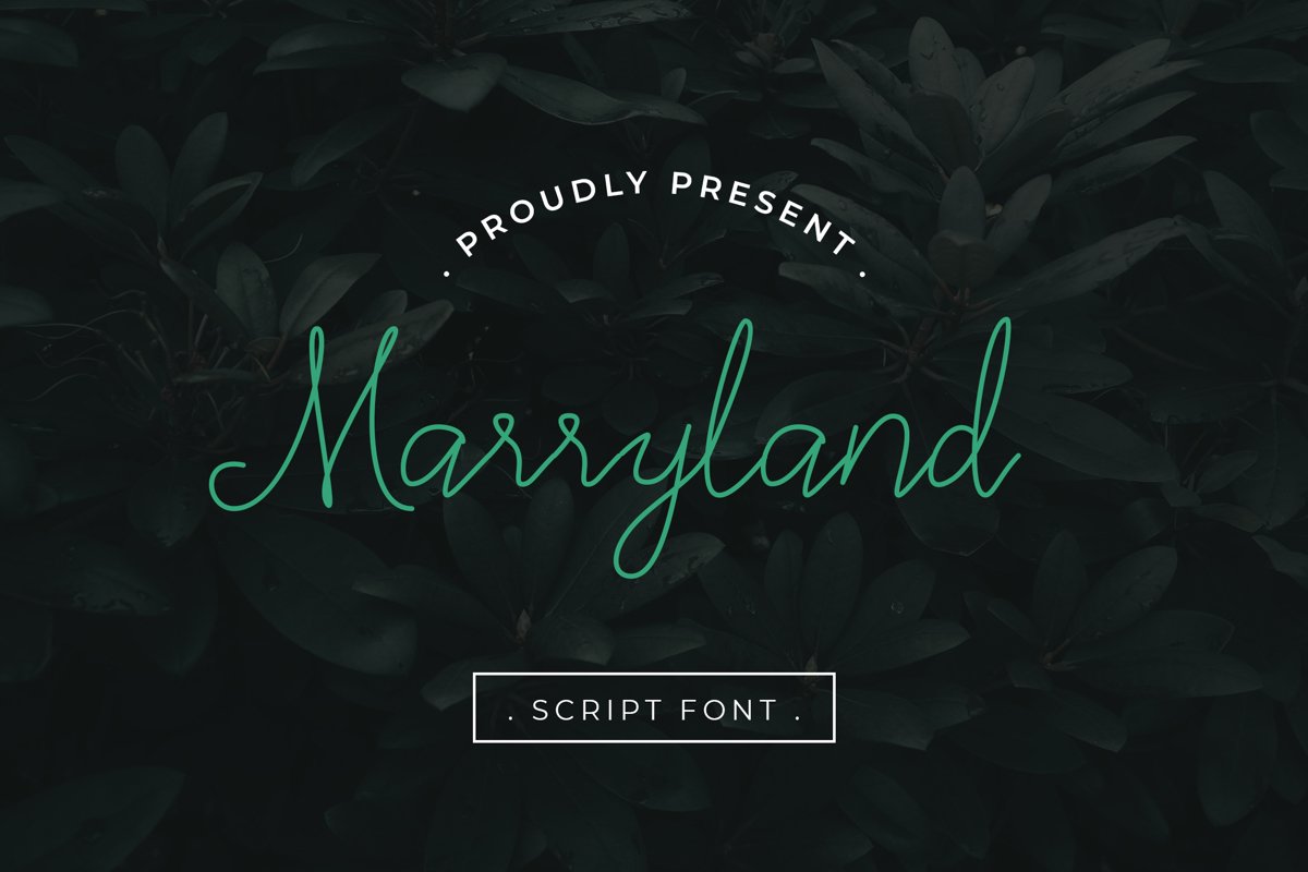 Marryland Handwritten Script Monoline example image 1
