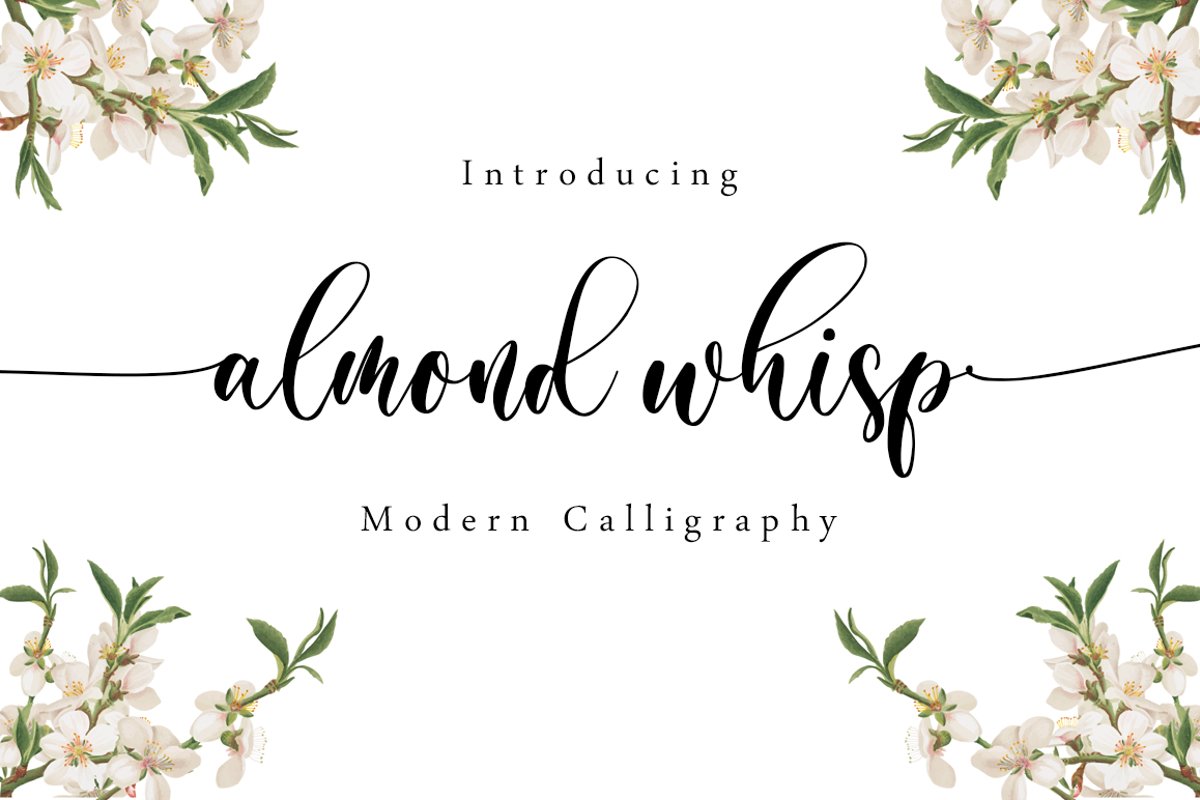 Almond Whisp - Modern Calligraphy example image 1
