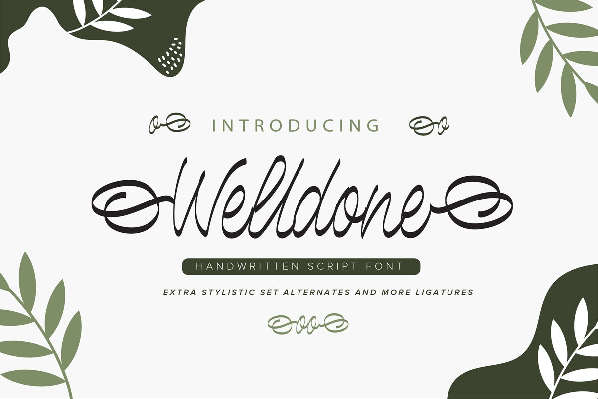 Welldone | Handwritten Script Font example image 1