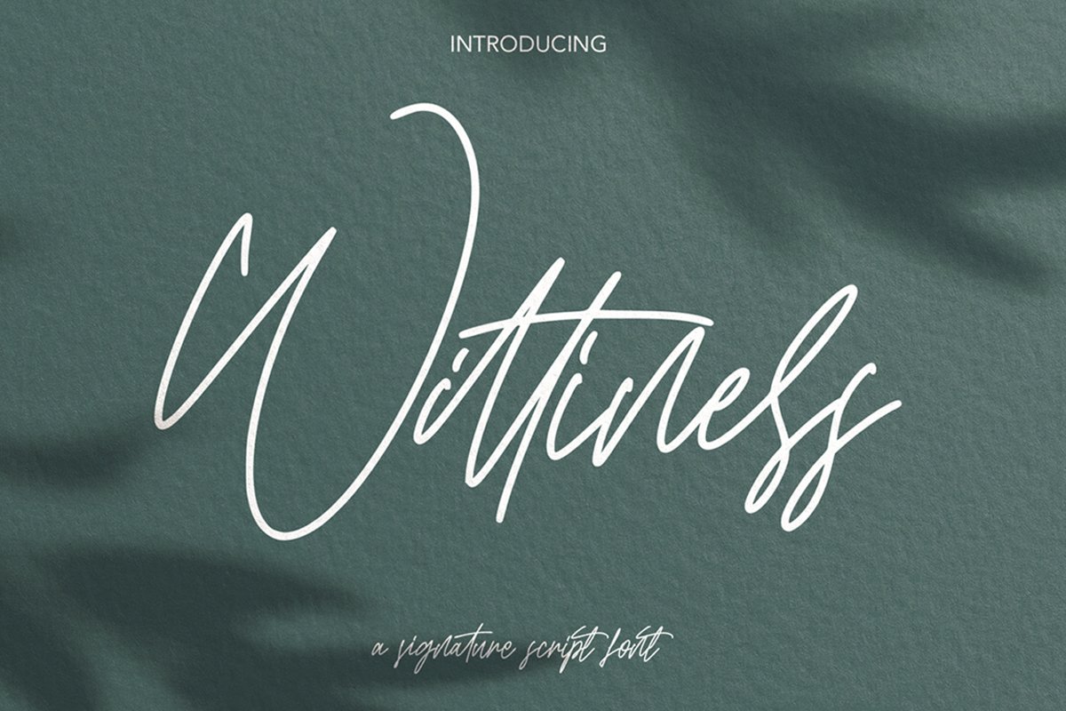 Wittiness - Signature Script Font example image 1