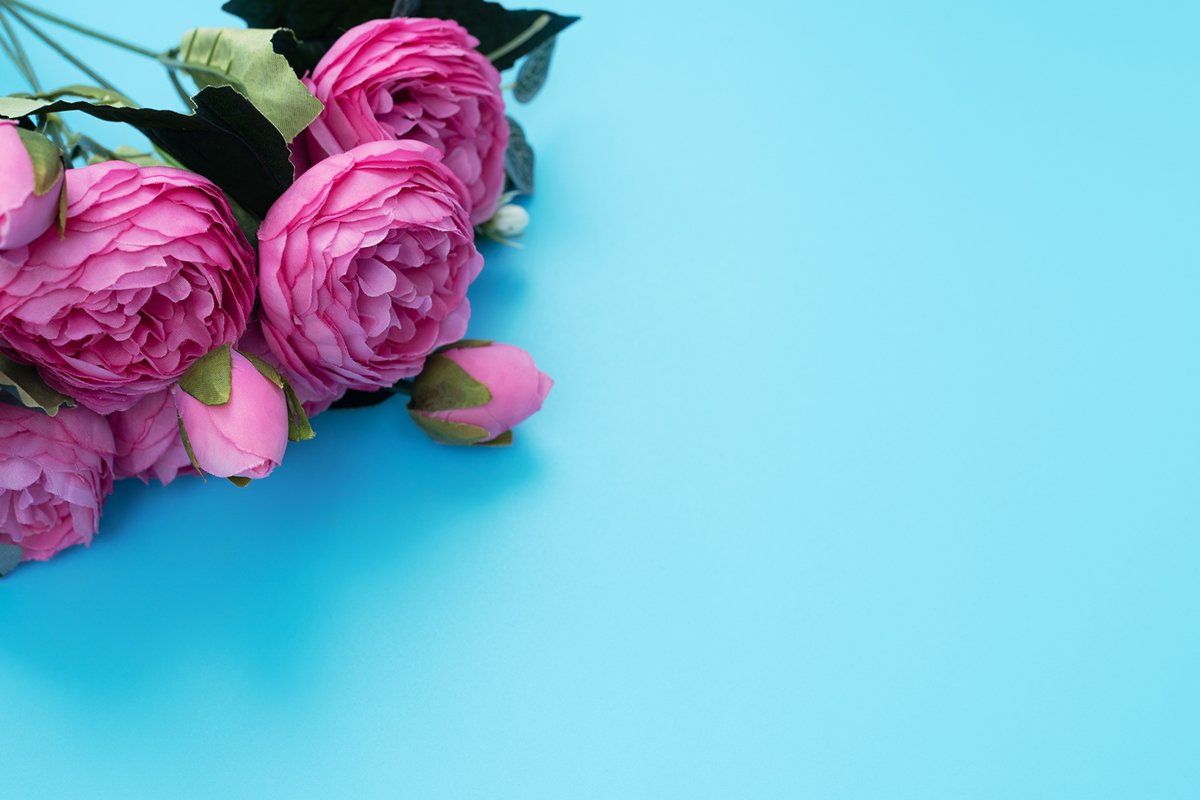 Pink flowers on blue background. example image 1