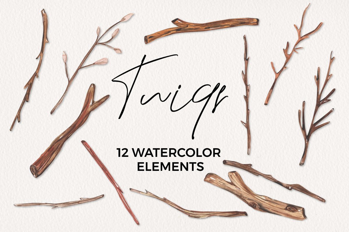 Twigs Detailed Watercolor 12 Elements Branches Wood example image 1