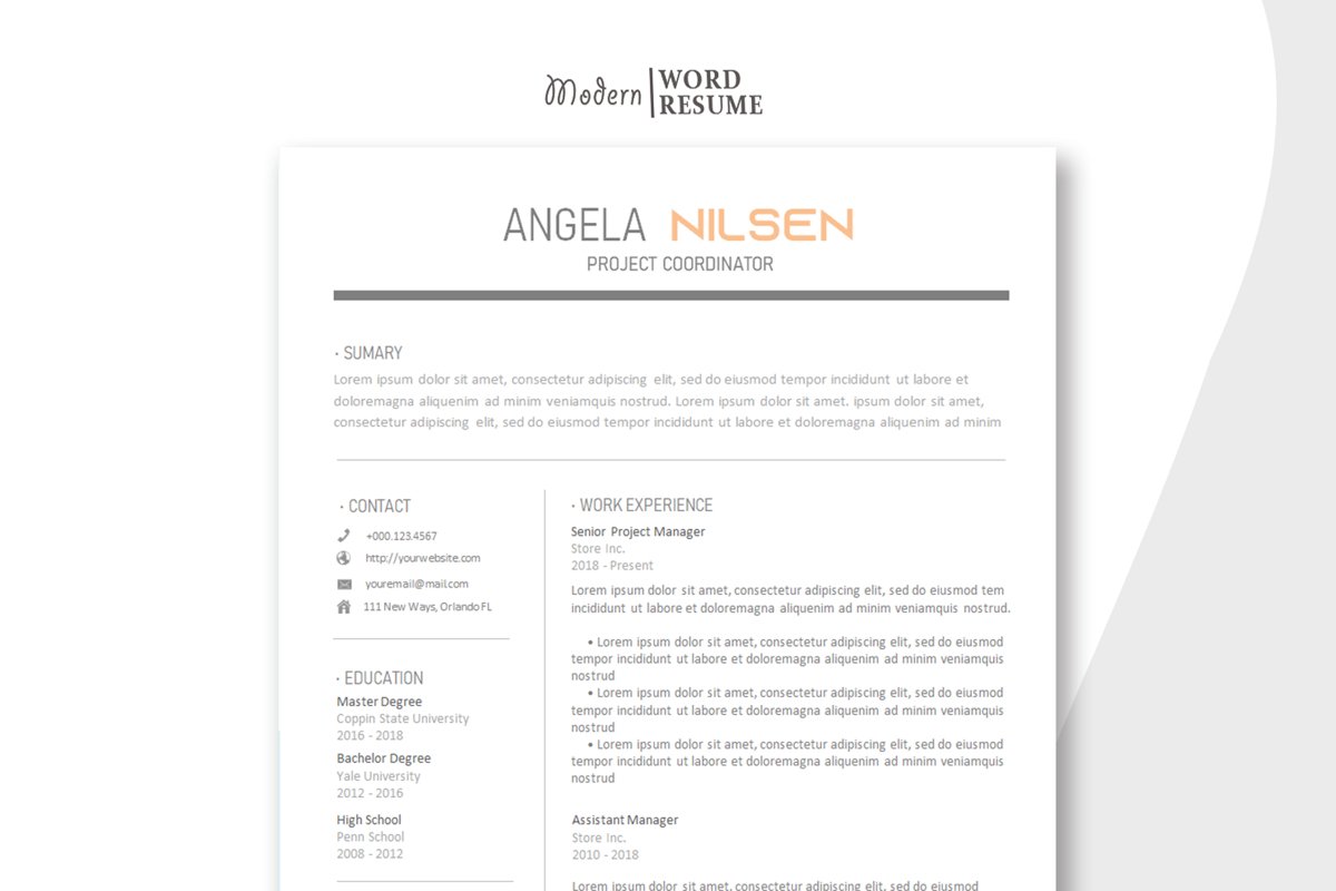 Project Manager Resume Template example image 1