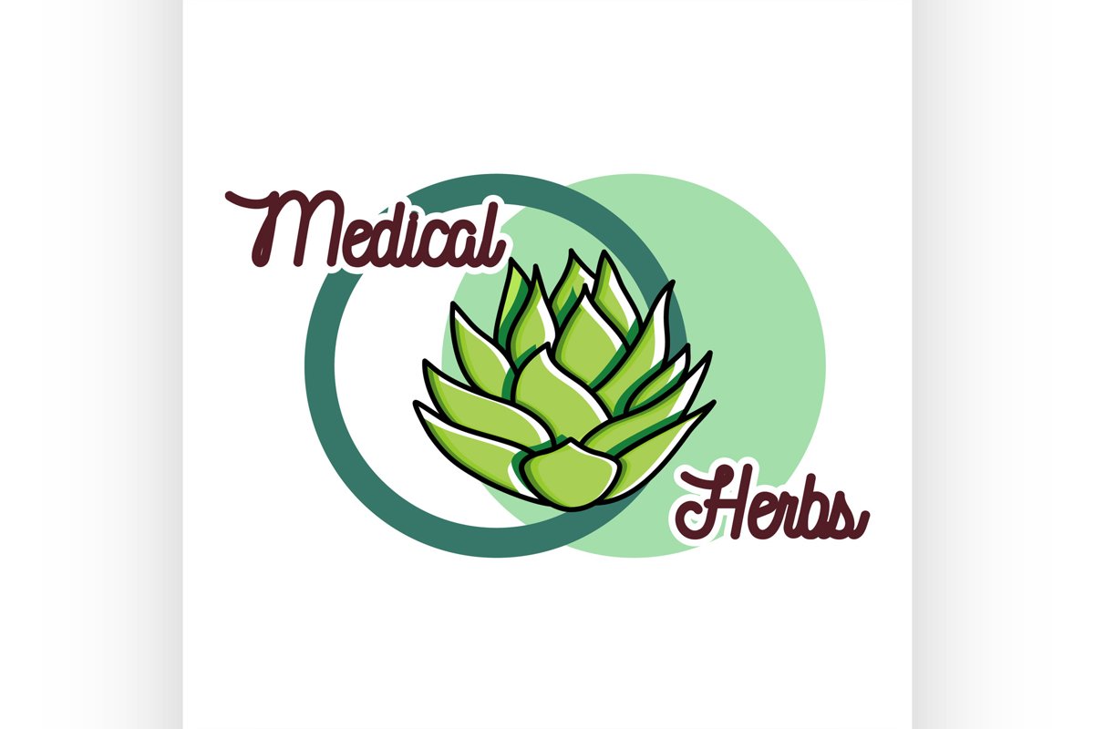 Color vintage medical plants herbs emblem example image 1