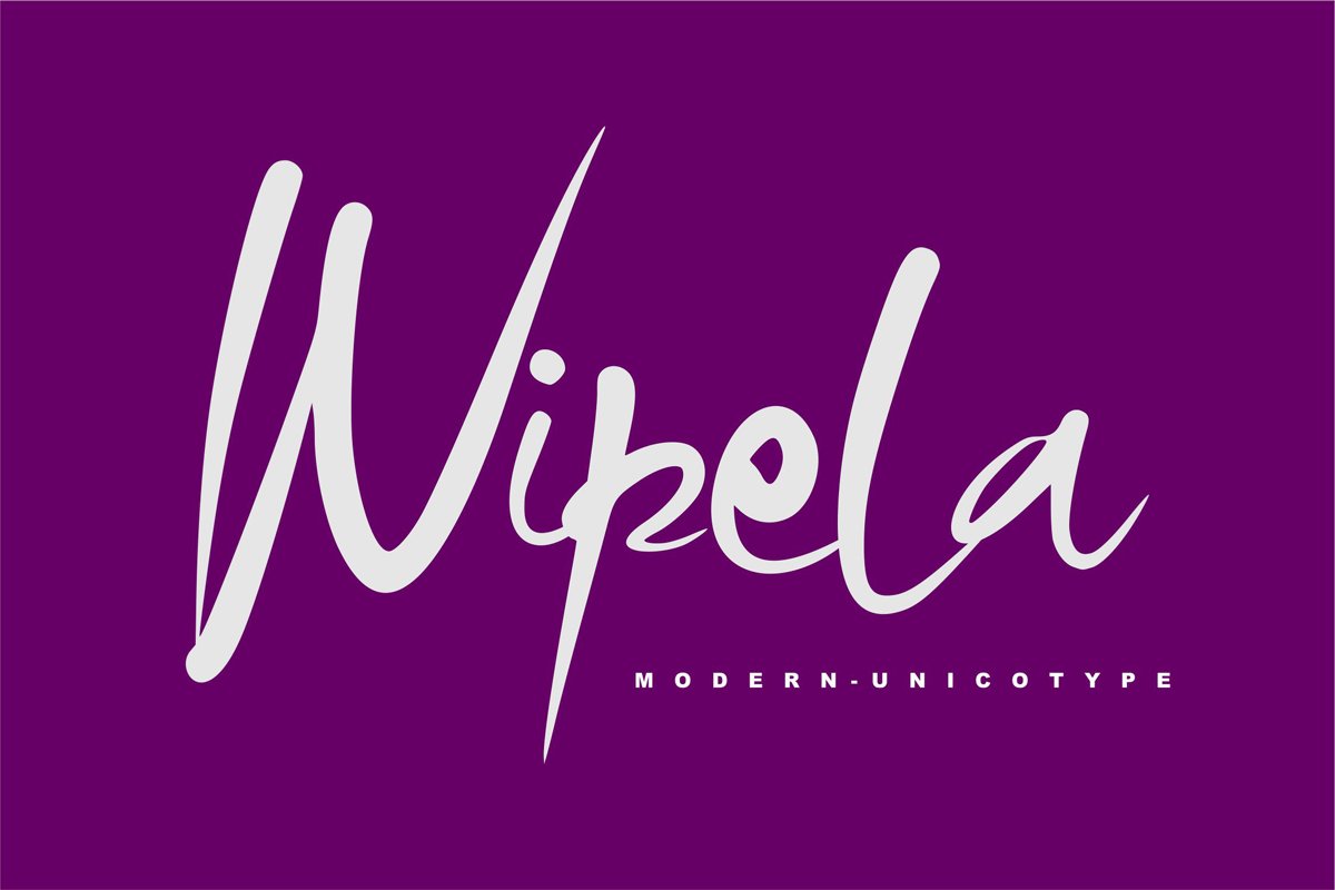 Wipela | Modern Unicotype Font example image 1