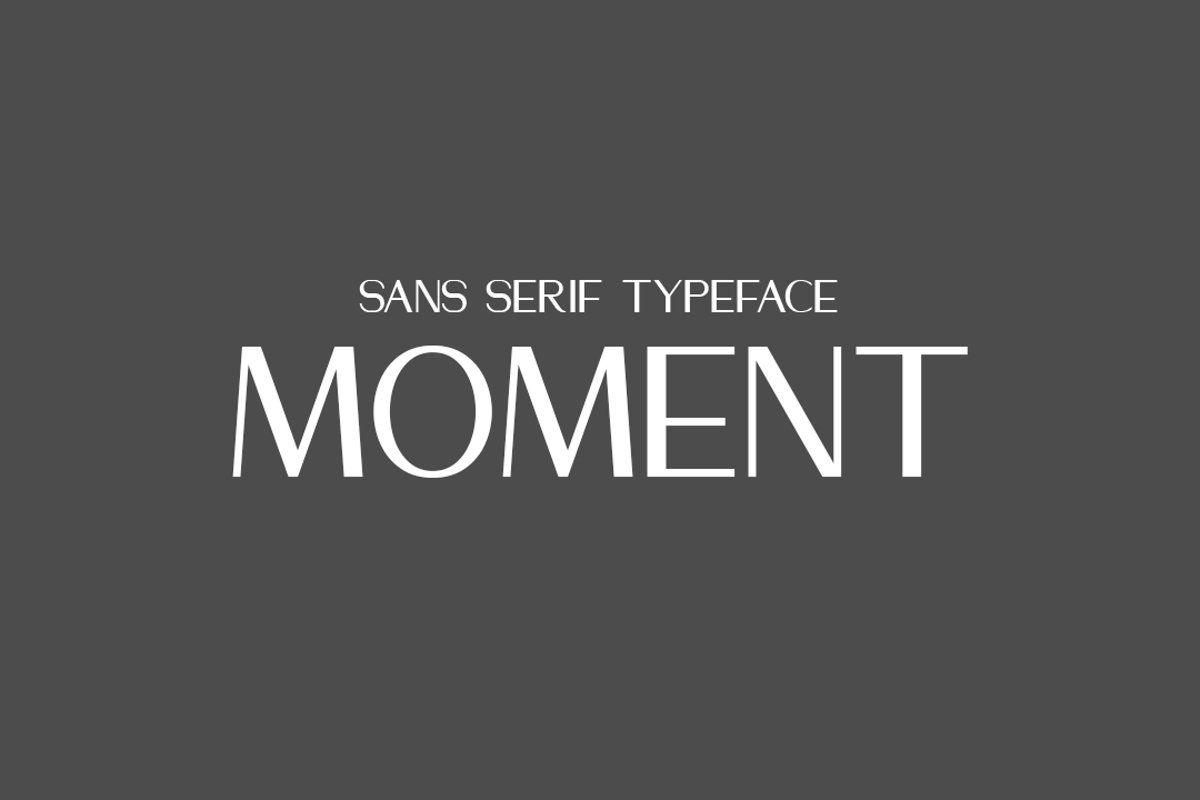 MOMENT example image 1
