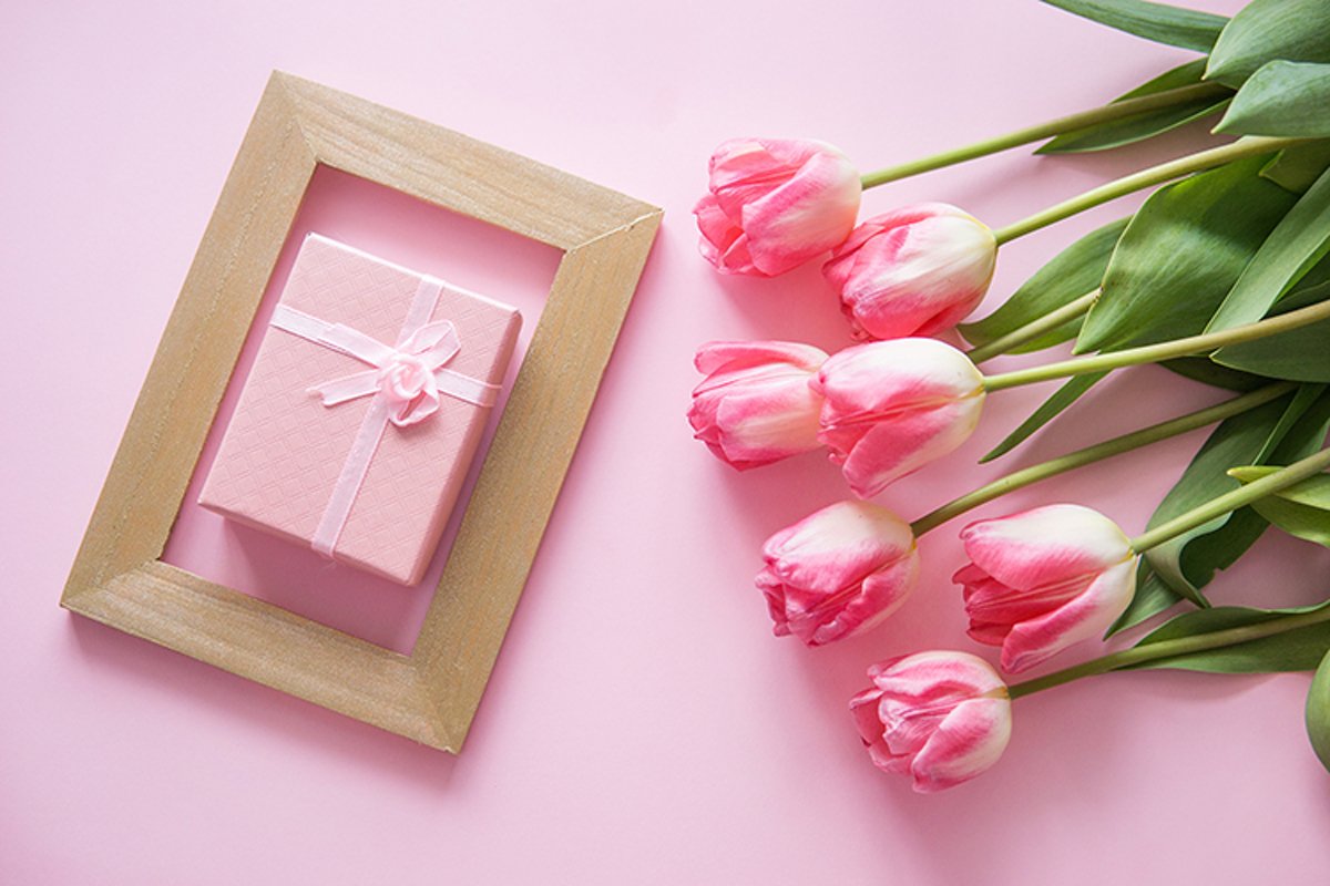 Pink Tulip flower are arranged on a pink background. example image 1