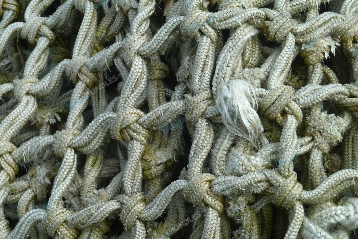 Net Texture example image 1