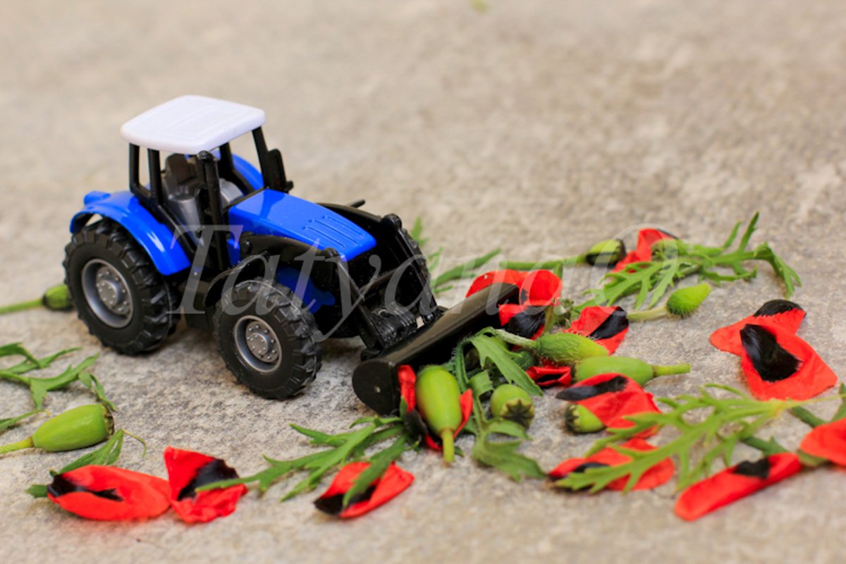 Toy tractor, excavator removing red poppies, corn poppy. example image 1