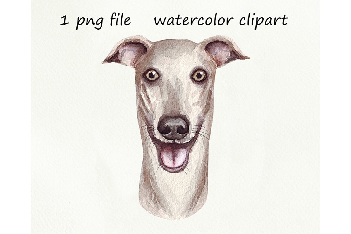 Watercolor dog png, Dog Greyhound, hand drawn example image 1