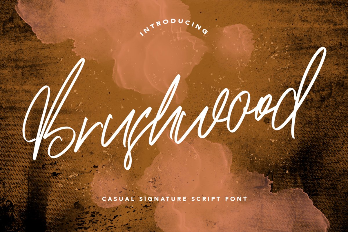 Brushwood - Signature Script Font example image 1