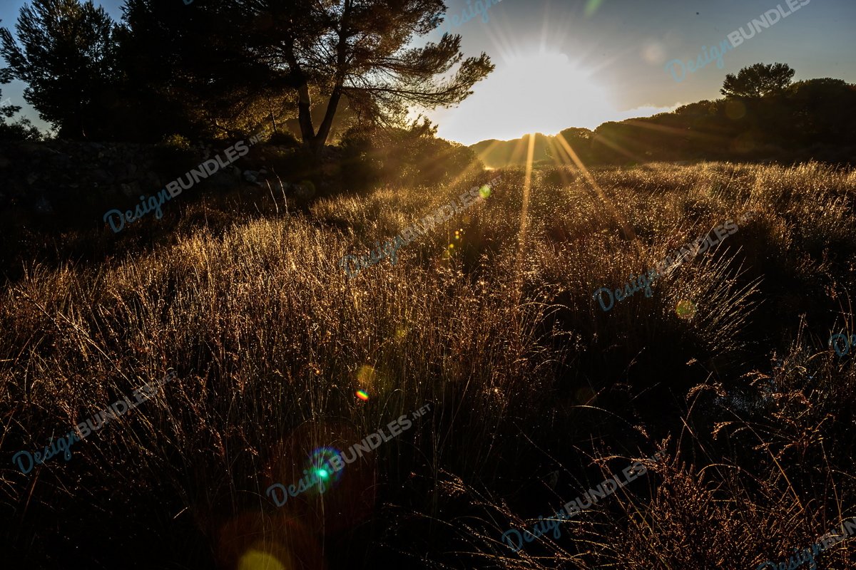 Stock Photo - Sunbeams at sunset example image 1
