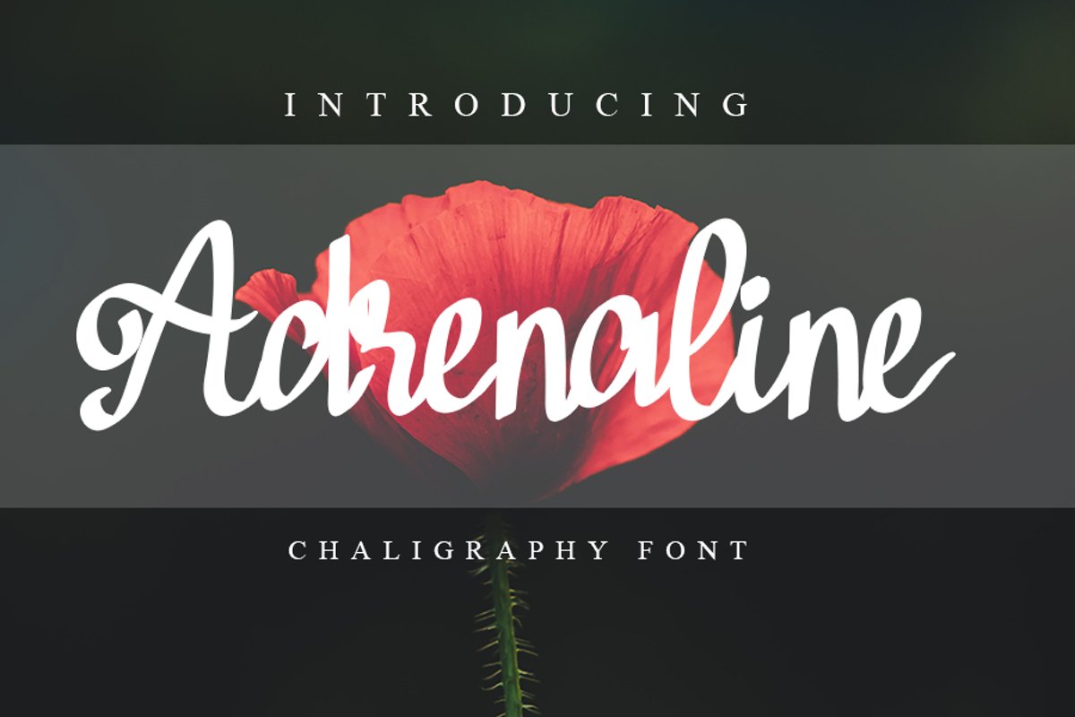 Adrenaline example image 1