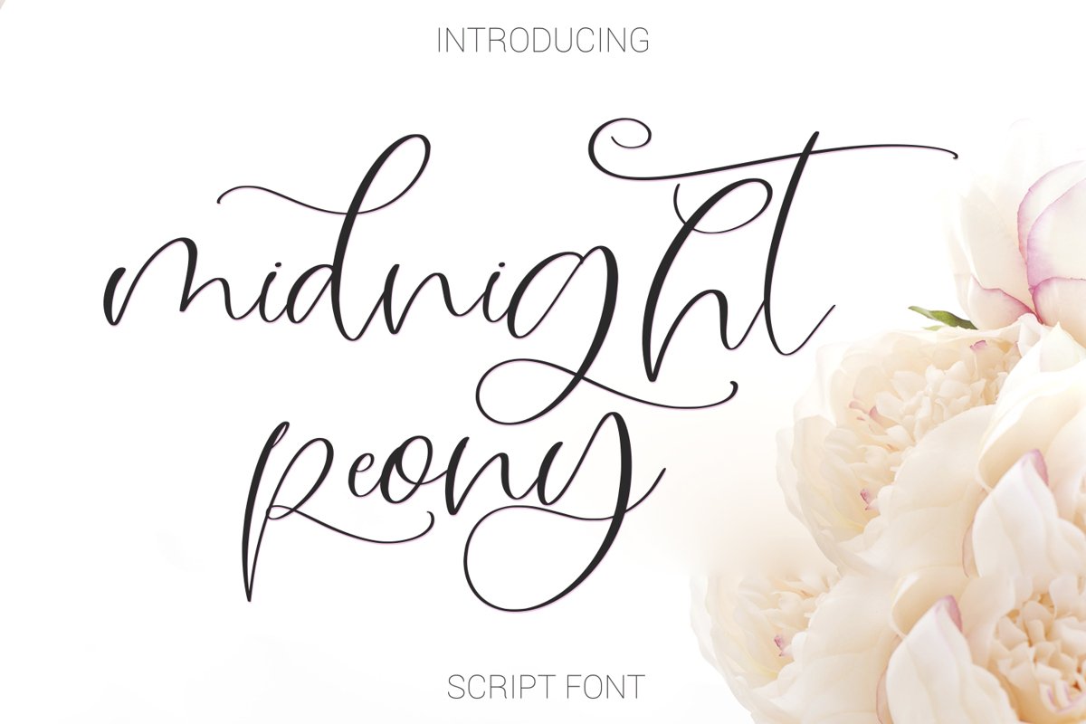 Midnight Peony Script Font example image 1