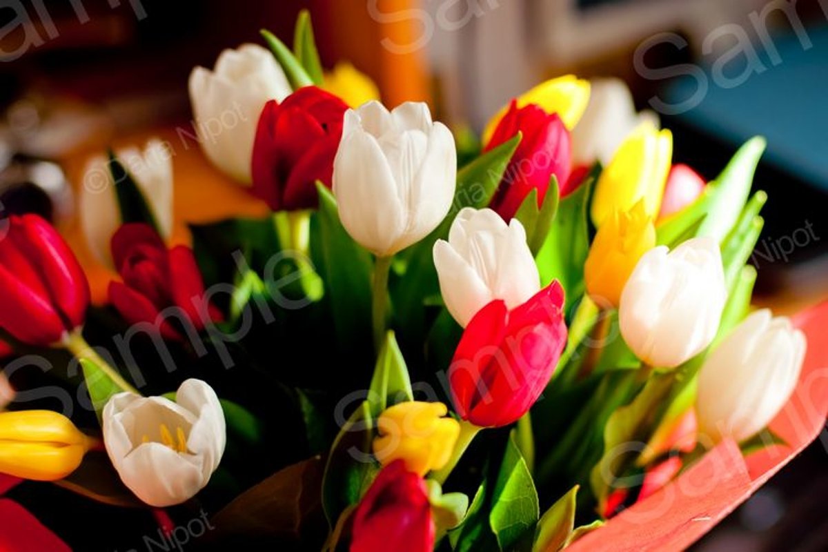 Bouquet of beautiful colorful tulips example image 1