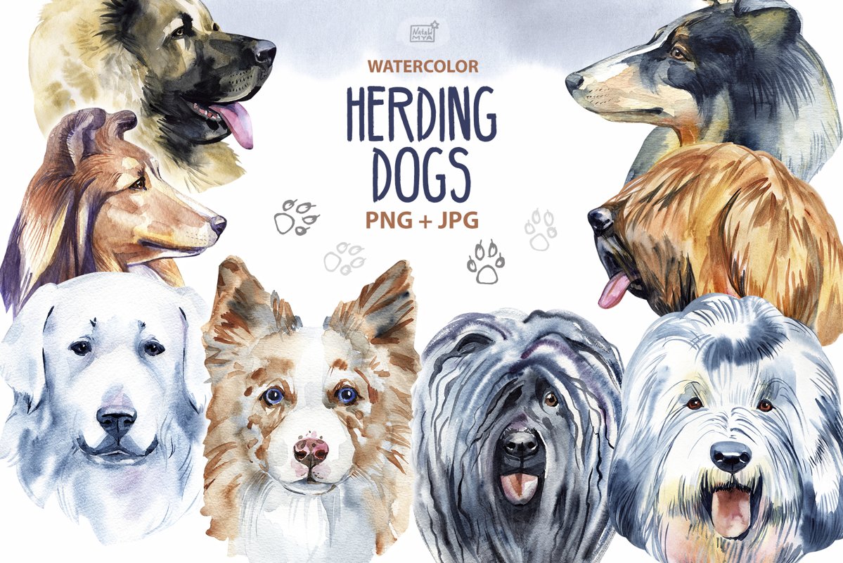 Watercolor herding dogs example image 1
