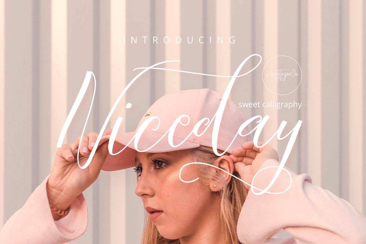 Niceday Script Font example image 1