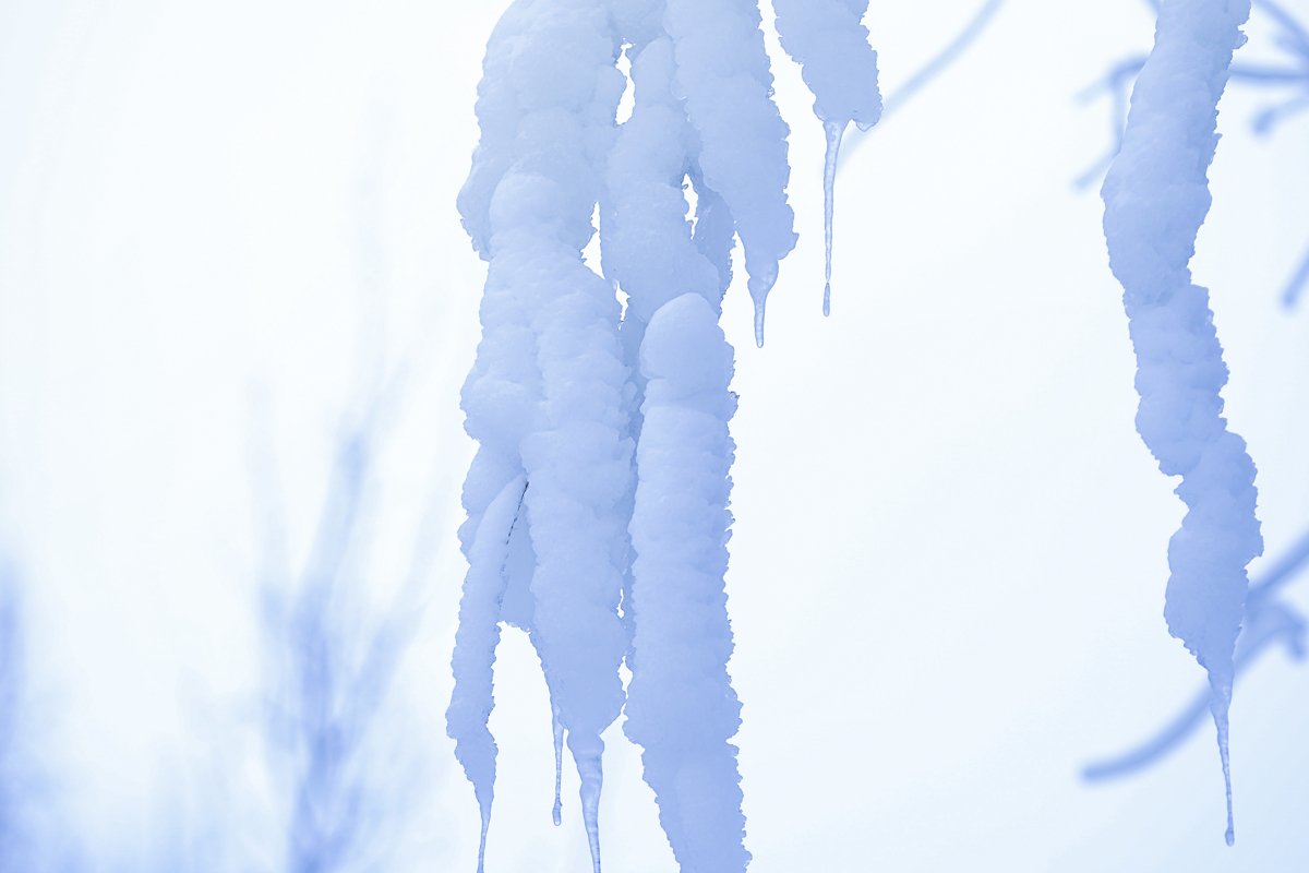 Huge icicles on trees in winter example image 1
