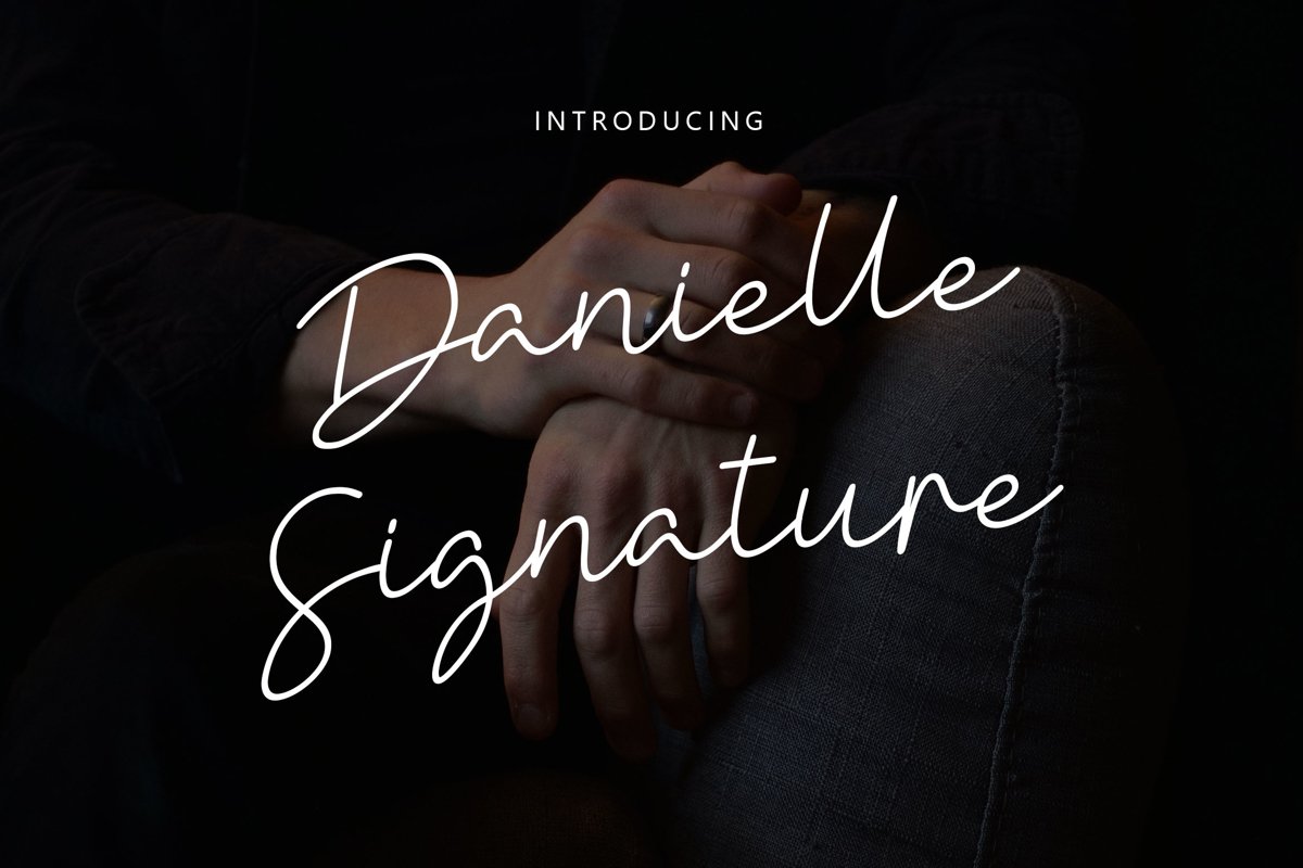Danielle Signature - Handwritten Font example image 1