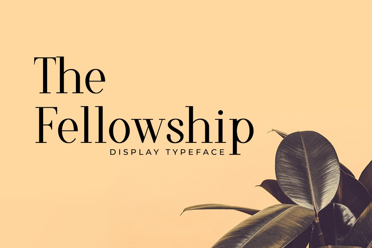 The Fellowship example image 1
