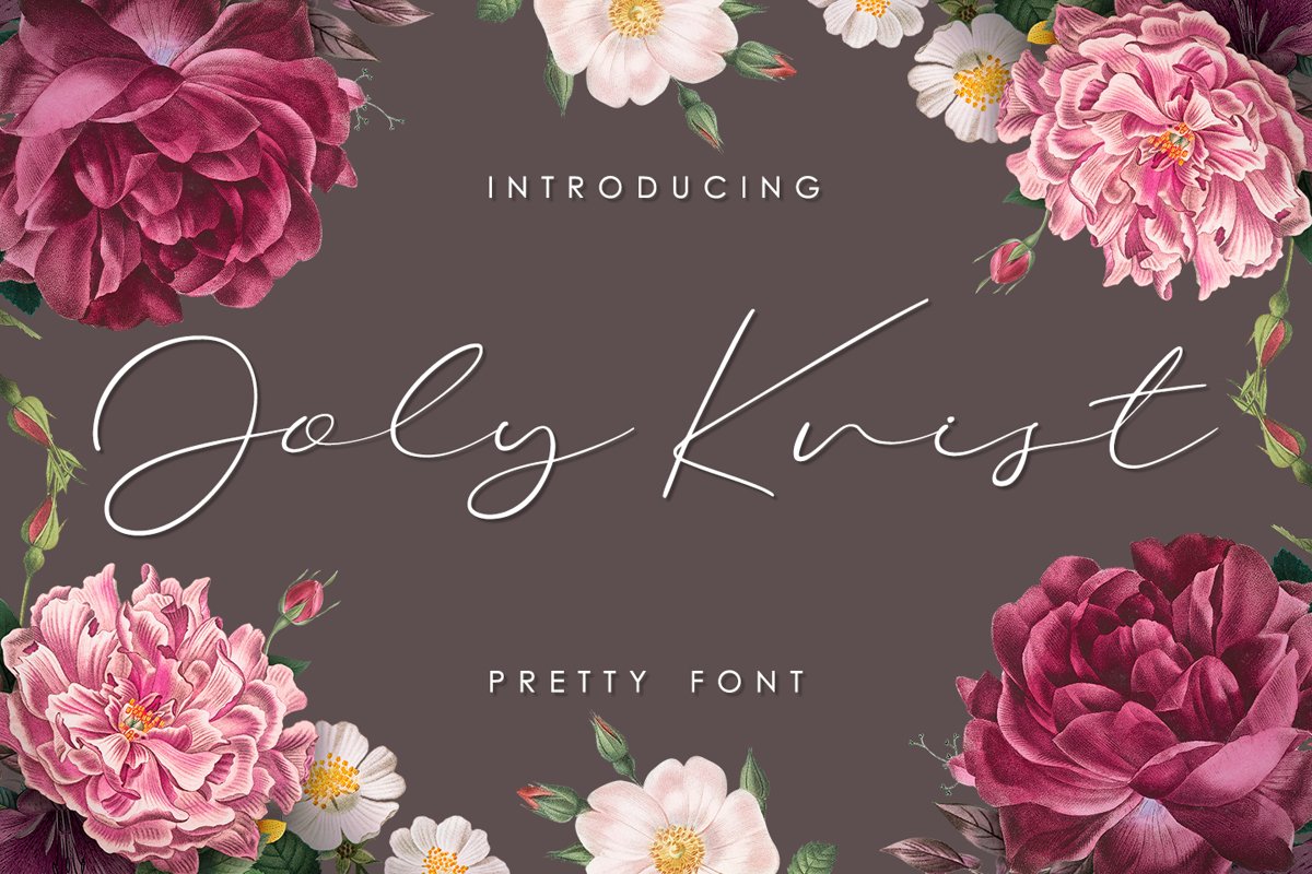 Joly Cvist - Pretty font example image 1