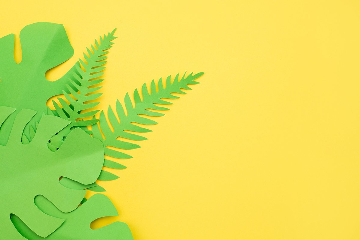 Summer Tropical leaves, plants . Paper cut style example image 1