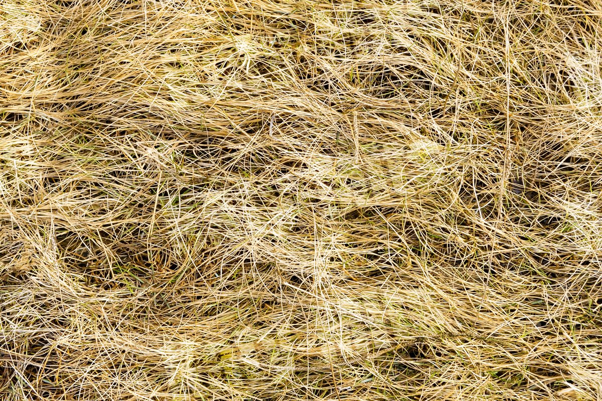 Straw texture background example image 1