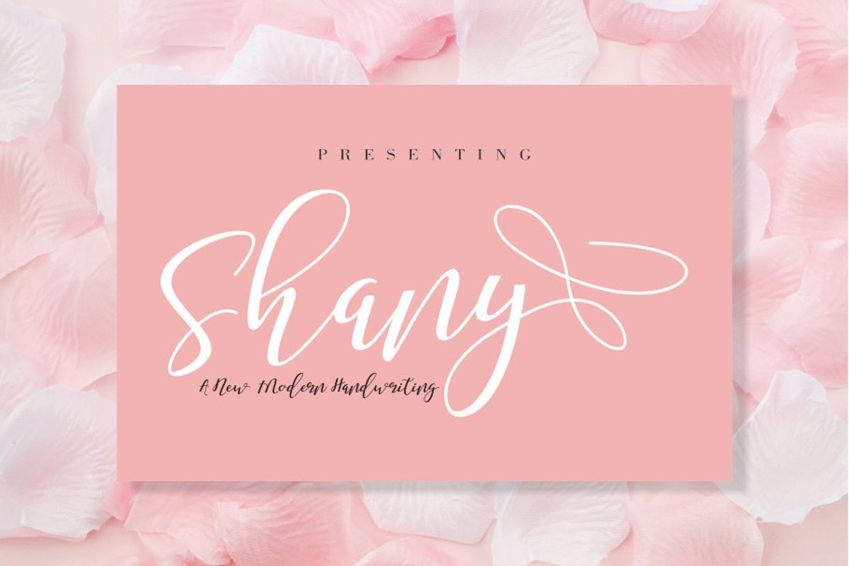 Shany example image 1