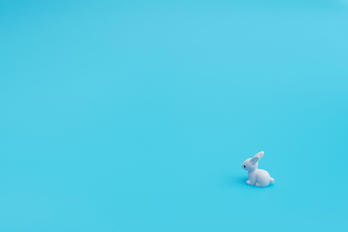 Small white rabbit sits on blue background. example image 1